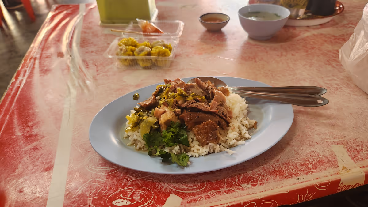 Braised pork rice with a dish of shumai.