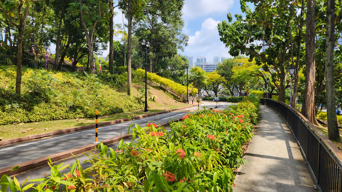 A park with street lamp. There are bushes and trees.