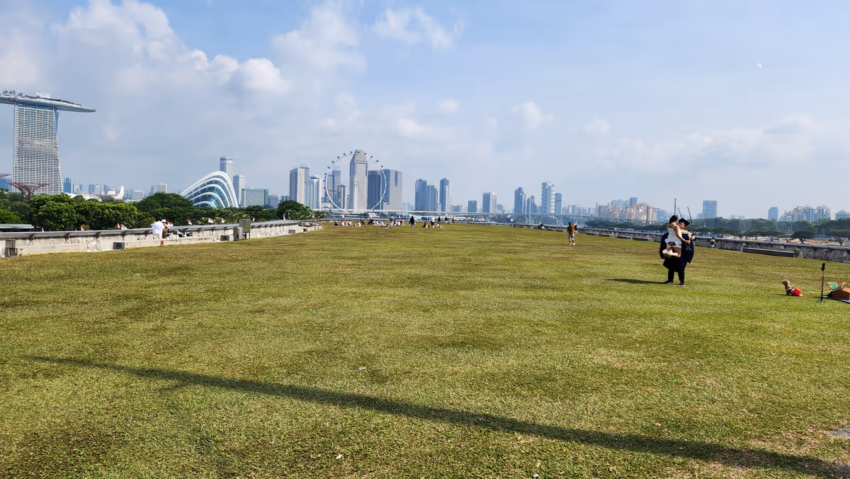 A green lawn with a blue sky and buildings.