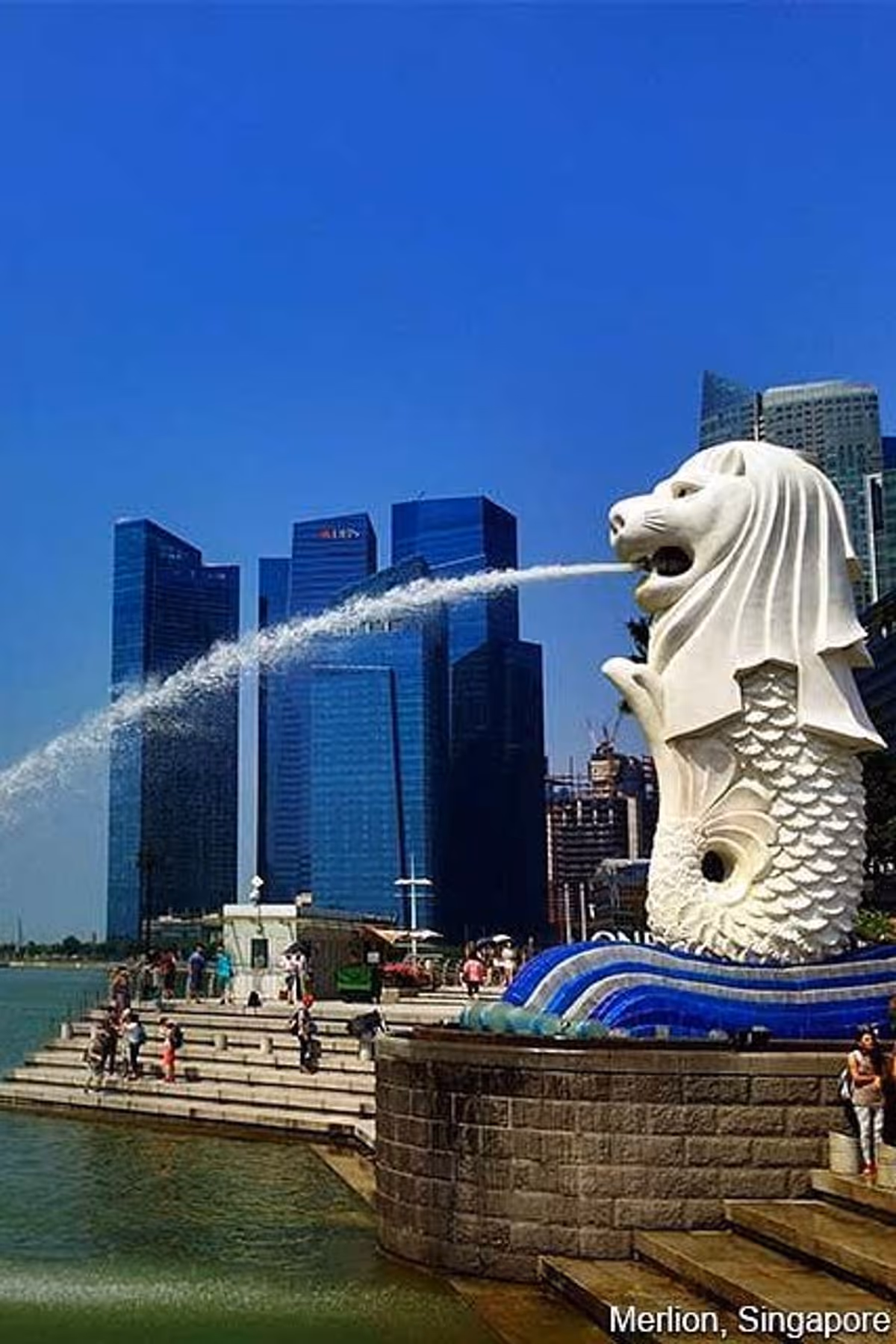Merlion, a fountain in a lion and fish shape with many buildings behind.