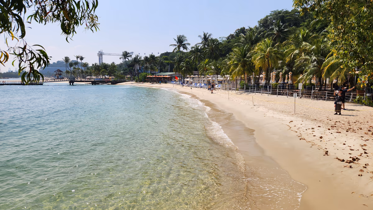 A beach on the left and trees on the right.