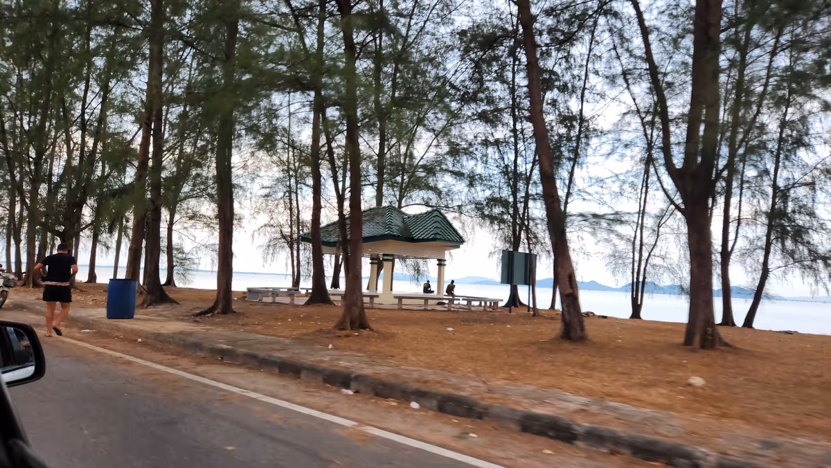 Trees in front of the lake.