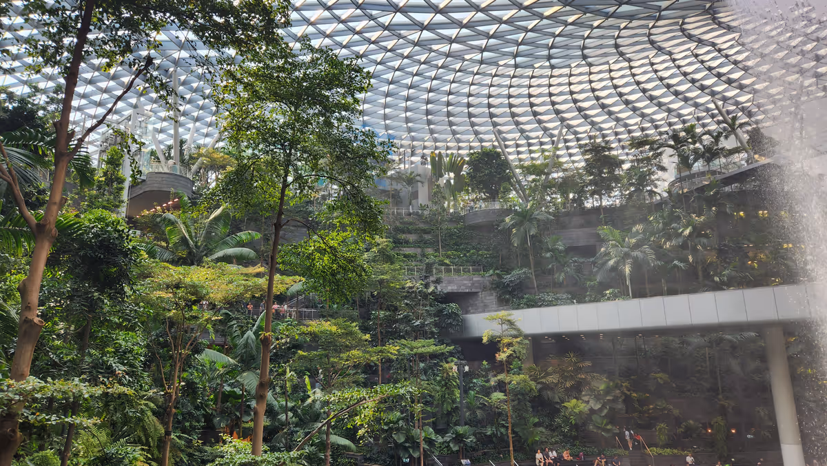 A greenery and different trees and a mesh roof with a waterfall on the right.